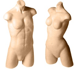 Mens Free Standing Active Torso Full Body Forms